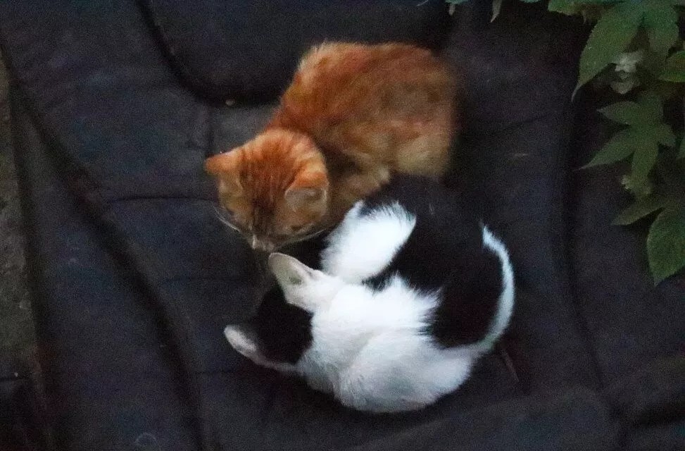 关于宿院的寒假动词