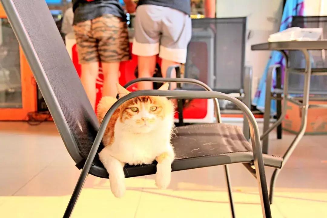 武昌这所低调的大学坐拥一线江景，教学楼窗外就是黄鹤楼