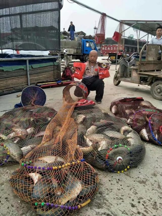 钓鱼竿为什么不绝缘,钓竿哪个牌子好