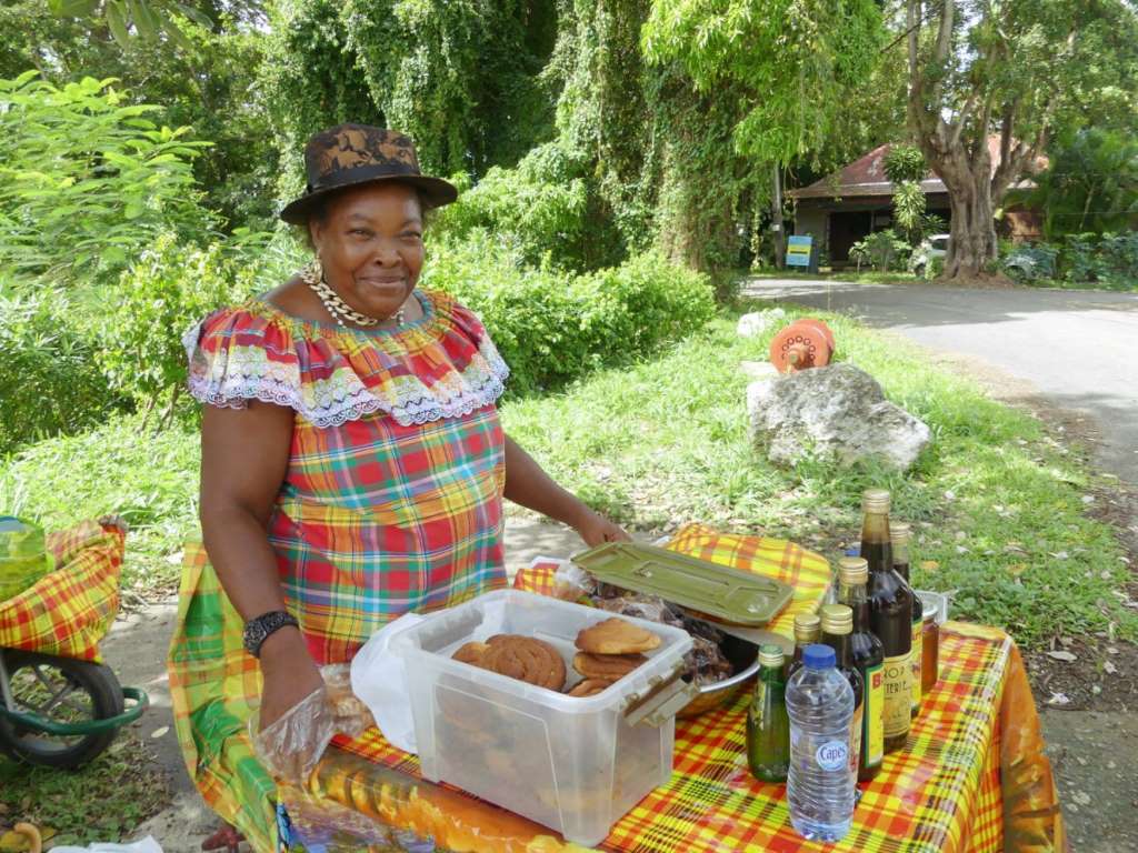 瓜德罗普岛美景,玛丽加朗特岛和法兰西堡
