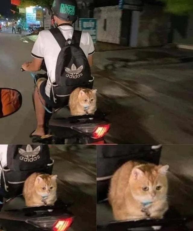 女生包包里面都装什么豆豆,女生的包包装的是什么