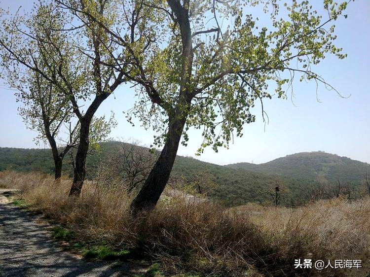 当年的阵地不在了，但海岸炮兵心中的军魂仍在