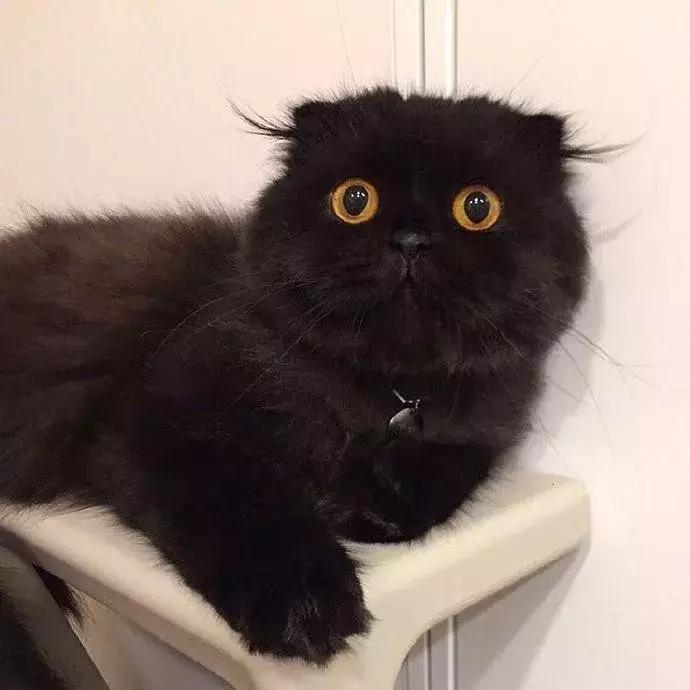 88元享388元「棉花糖SPA」套餐！火遍小红书の贵妇级护肤厦门也有