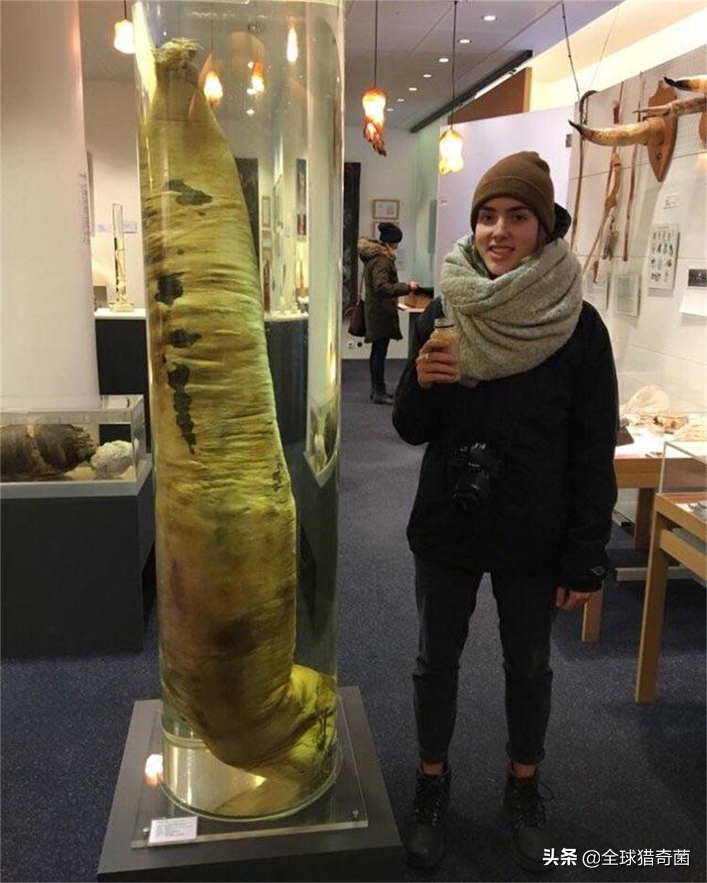 word一般字体大小是多少,word字体大小是多少