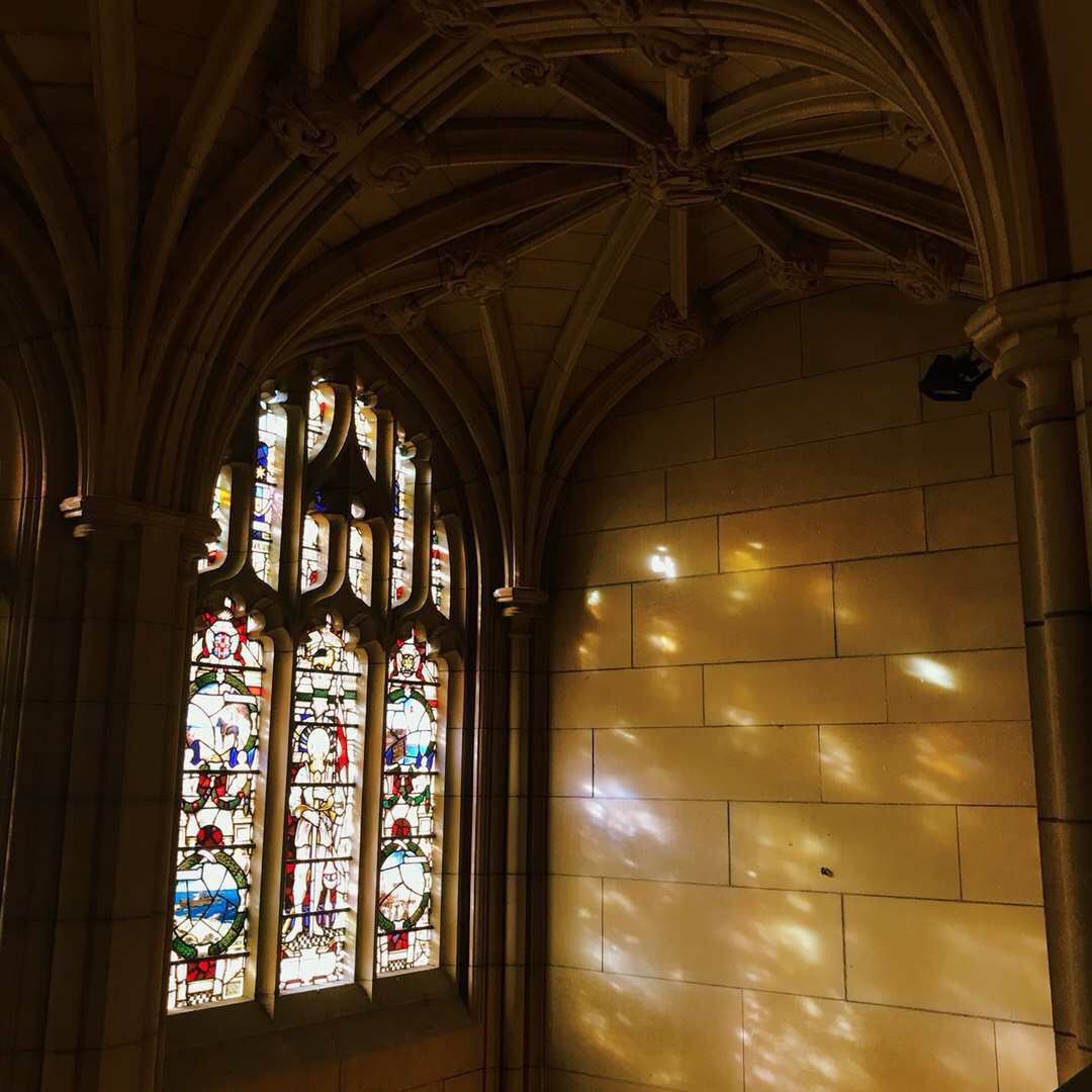 澳大利亚专科留学要什么条件,澳大利亚留学费用与学制