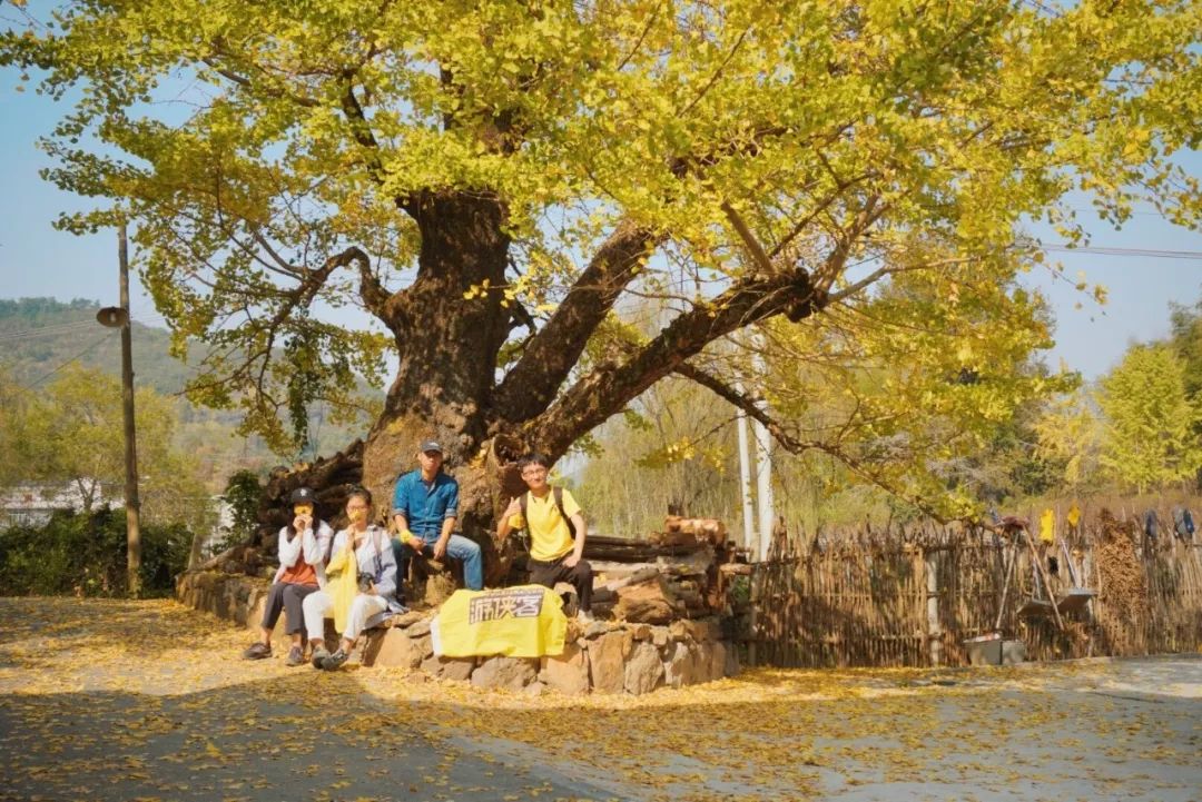 2月份去恭城看柿子,什么时候去恭城看柿子最好