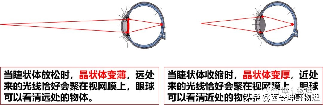 物理初中光学知识,初中物理眼睛与光学仪器