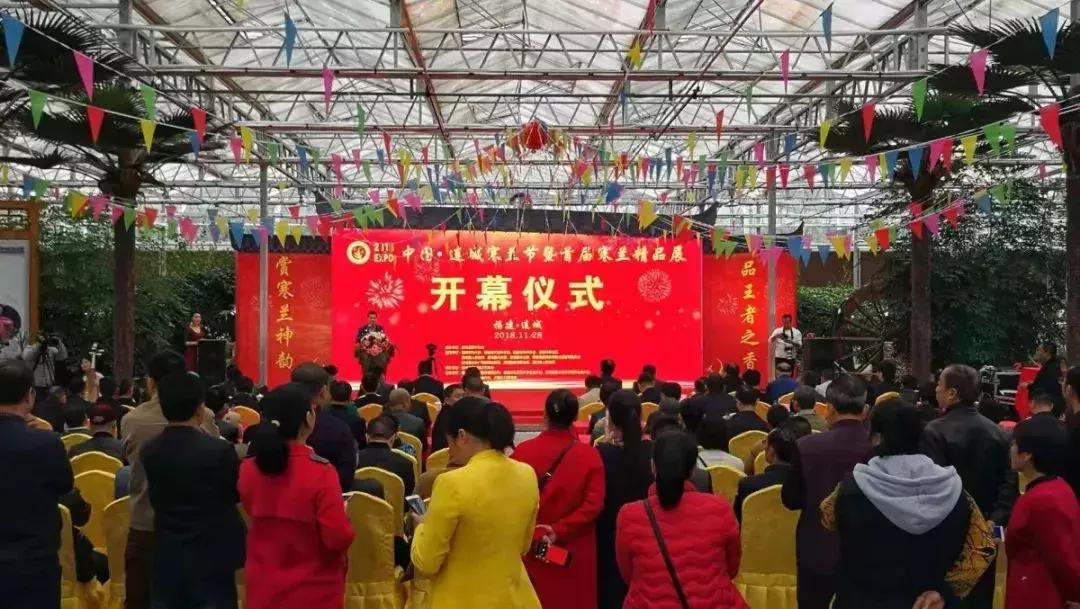 精品寒兰展,福建连城寒兰节