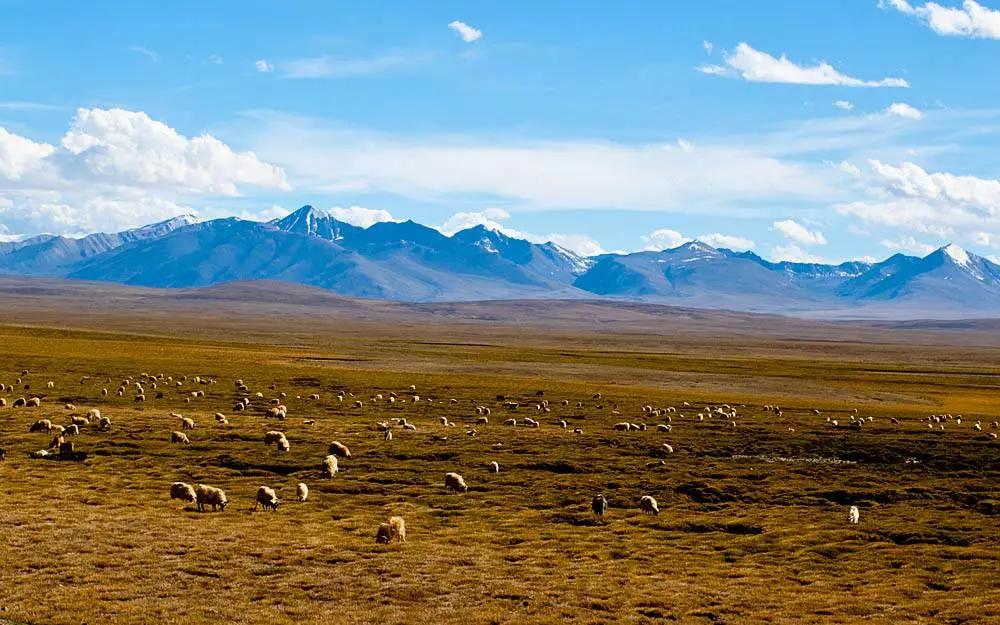 这些中国之最你知道吗,中国之最全部视频