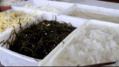 最好吃的砂锅粉丝,砂锅粉丝最好吃