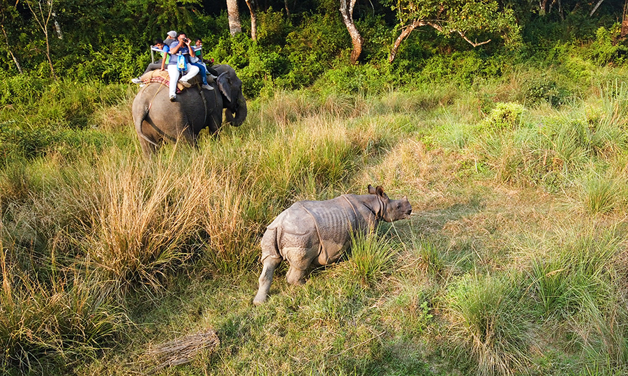 尼泊尔十堰,尼泊尔为什么这么穷