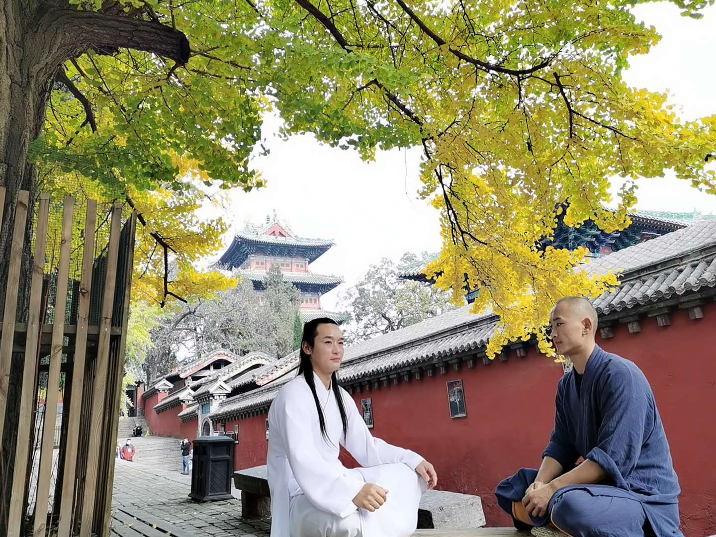 走进少林那扇无形的大门,少林一叶一菩提