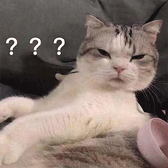 用舌头舔猫会怎样,舔猫头一口会有什么反应