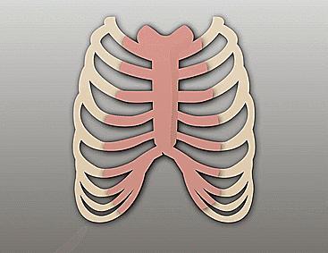 破误区碎谣言揭开精油的真实面纱,隆鼻精油真的有效吗