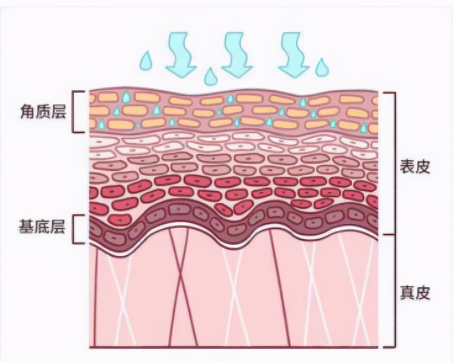 补水面膜真的有用吗有科学依据么,补水面膜到底好用不