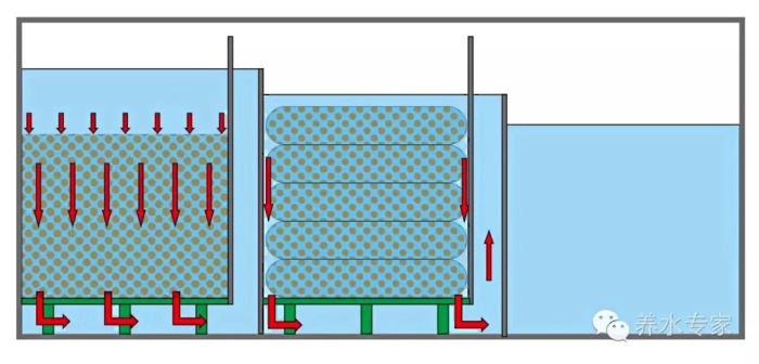 鱼缸养锦鲤鱼技术大全,缸养小锦鲤鱼的基本方法