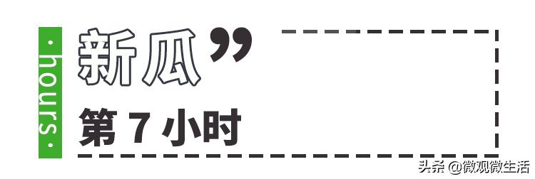 小猪罗志祥事件完整版,小猪罗志祥被喷满脸奶油