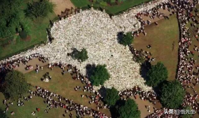 年轻时的霍金照,霍金年轻时照片有多帅