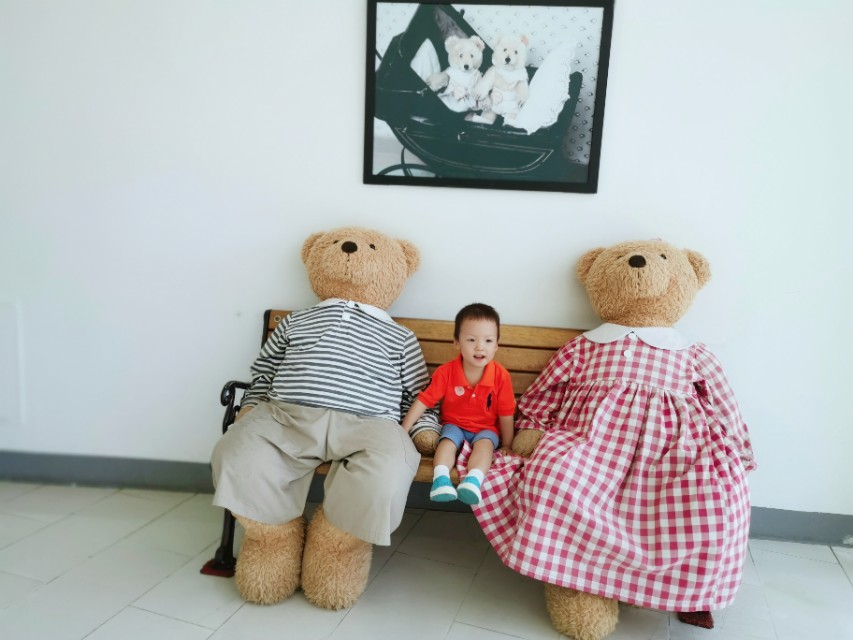 泰迪熊博物馆全球有哪些,世界泰迪熊博物馆