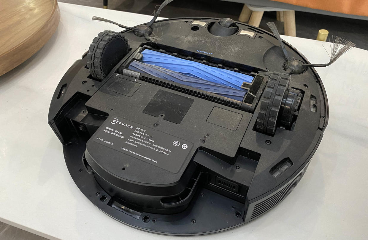 家有猫主的铲屎官,家有猫咪铲屎官