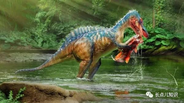 十大最强恐龙第九位特暴龙,比霸王龙还凶的世界十大恐龙