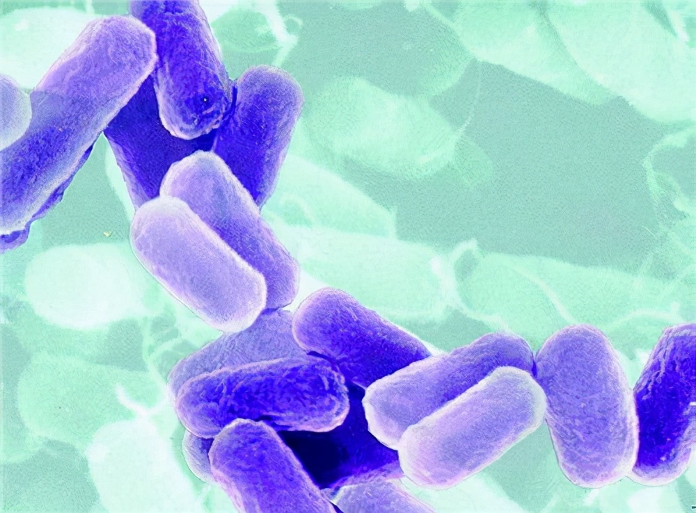 孢子吸入肺部会怎么样,吸入孢子会怎么样