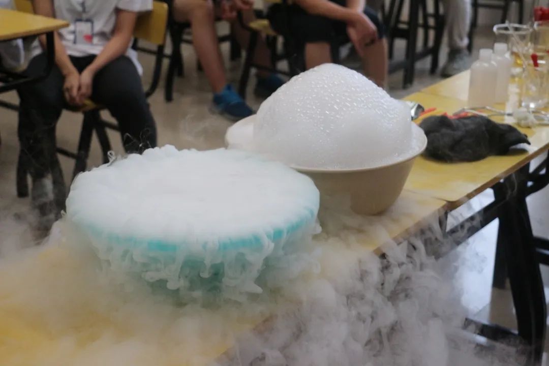 合肥一中美国蒙特威高中学费,合肥一中美国蒙特威入学要求