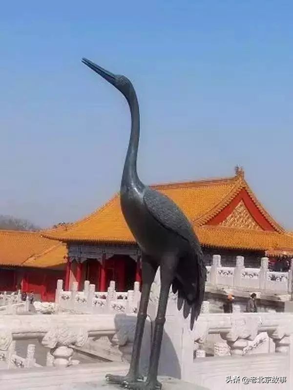 故宫成了动物园,故宫北京动物园