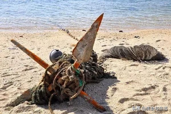 大连海鲜最便宜市场,大连海鲜最便宜的市场