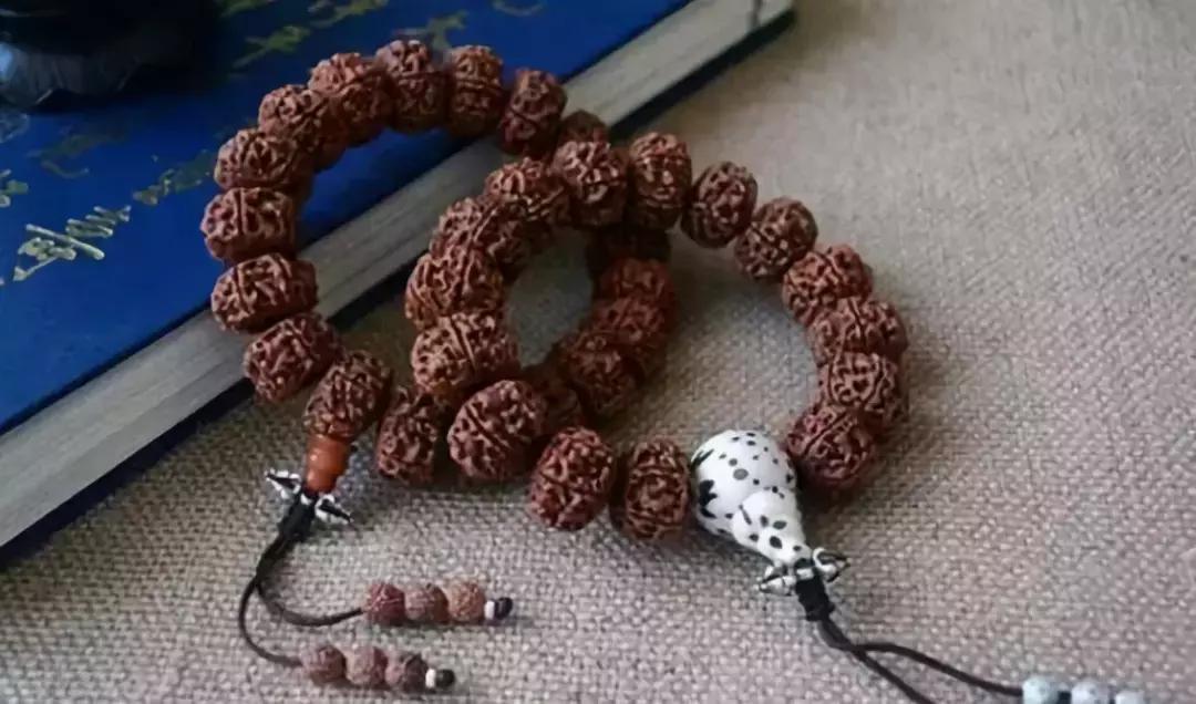 最全的菩提子图解太美了,最好的菩提子