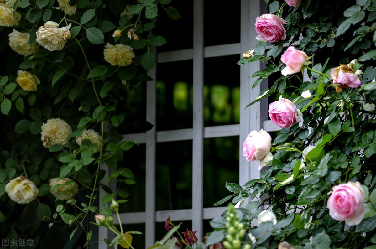 极简的生活第27天,极简生活第28天