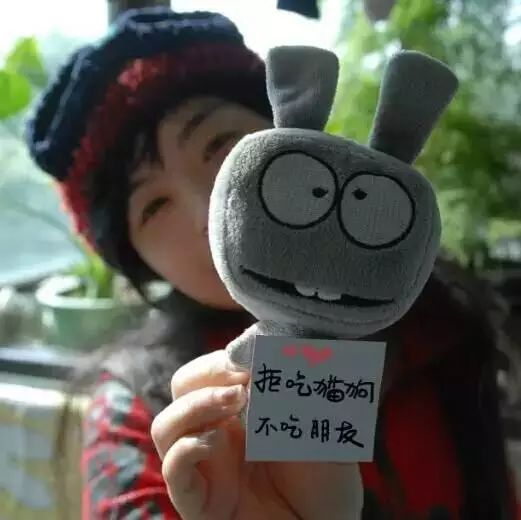 漫画家韩李李：为什么有的生命还在跟你说话，有的却变成了一道菜