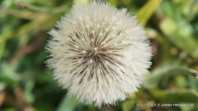 第29回：名校毕业风光不再，穹顶之下天空湛蓝