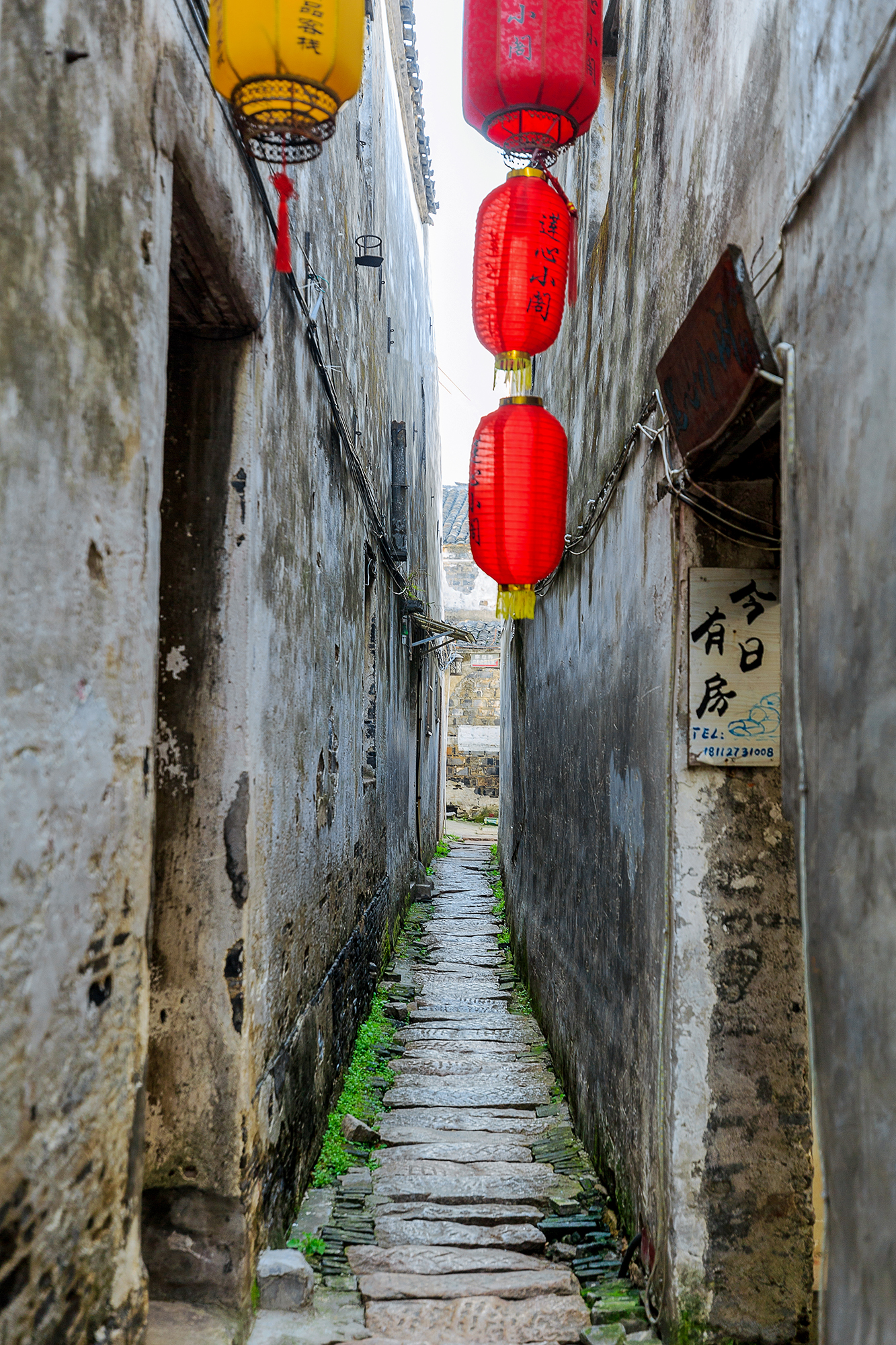 愿为人间客，世世在江南，不如来同里