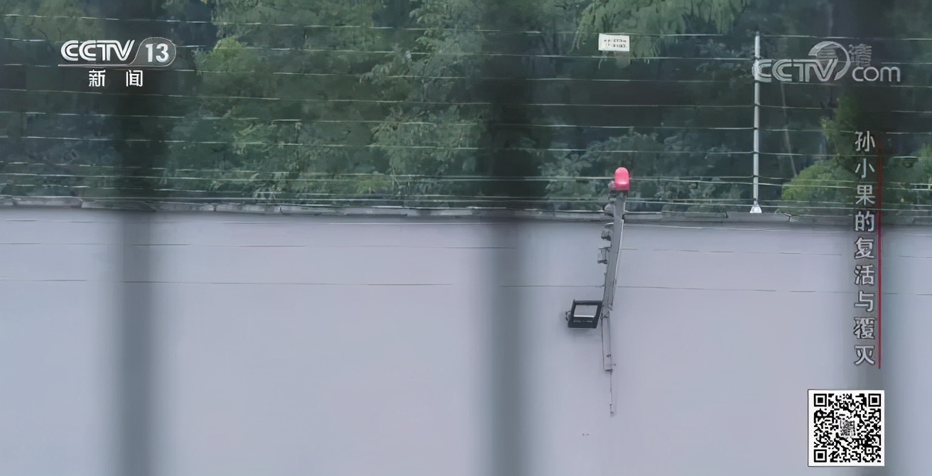 社会与法孙小果,社会评论孙小果