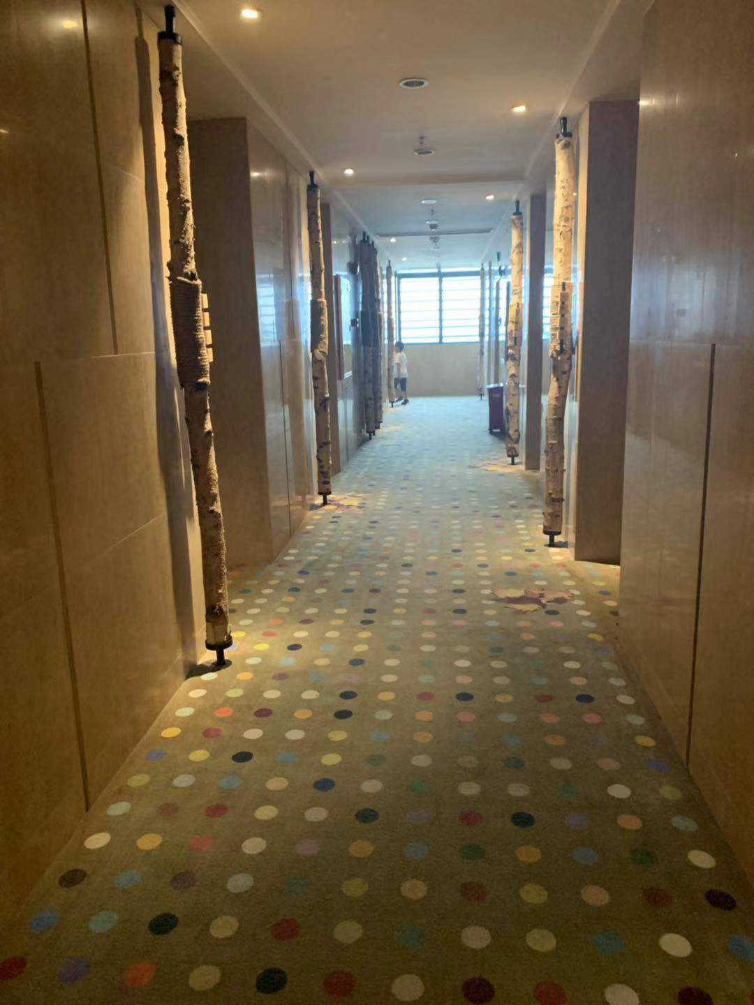 游玩广州长隆动物世界攻略,长隆动物王国旅游攻略