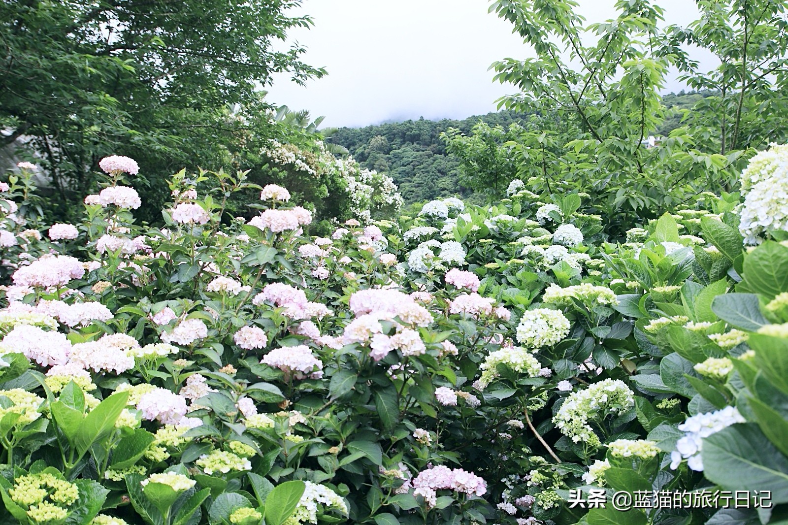 520最浪漫的旅游地,520浪漫出游地