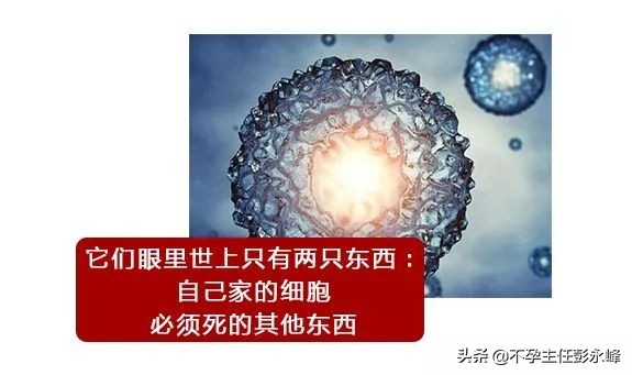 一直以为自己是跑得最快的那颗精子，原来并不是……
