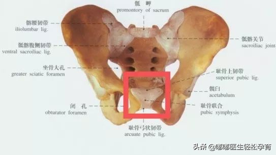 学产后修复师有前途么,考个产后修复师多少钱