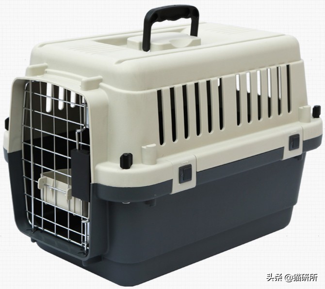7大航空公司猫咪托运攻略,猫咪托运航空箱需要准备什么
