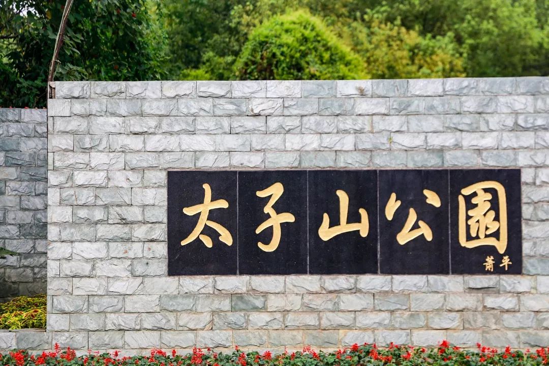 南京免费公园免费开放日一览表,南京免费公园景点推荐