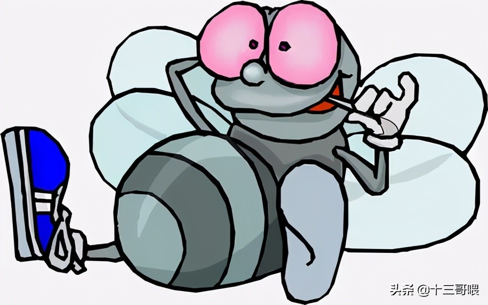 一只苍蝇能把人逼疯,突然一只苍蝇老围着你