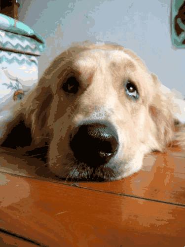 大姨妈闻着药味重,大姨妈闻着发酸怎么回事