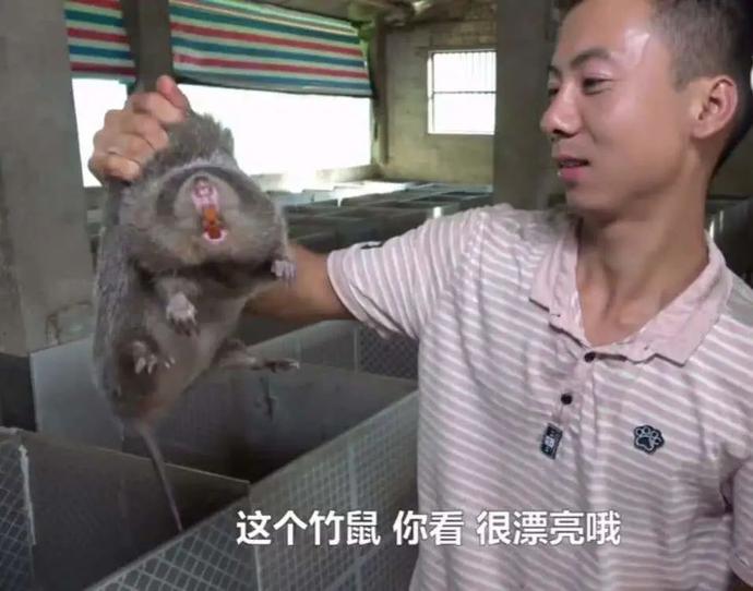 现在网上有很多土味视频,土味视频为何让人上瘾