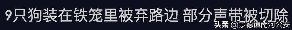 “割声带、截肢、电击，当爱变成我的噩梦”