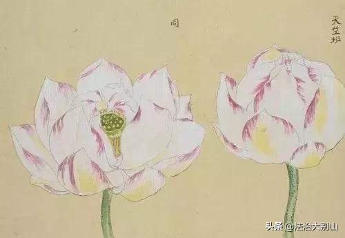 人民日报120个常被误用错写的成语,易被误用成语300例解释