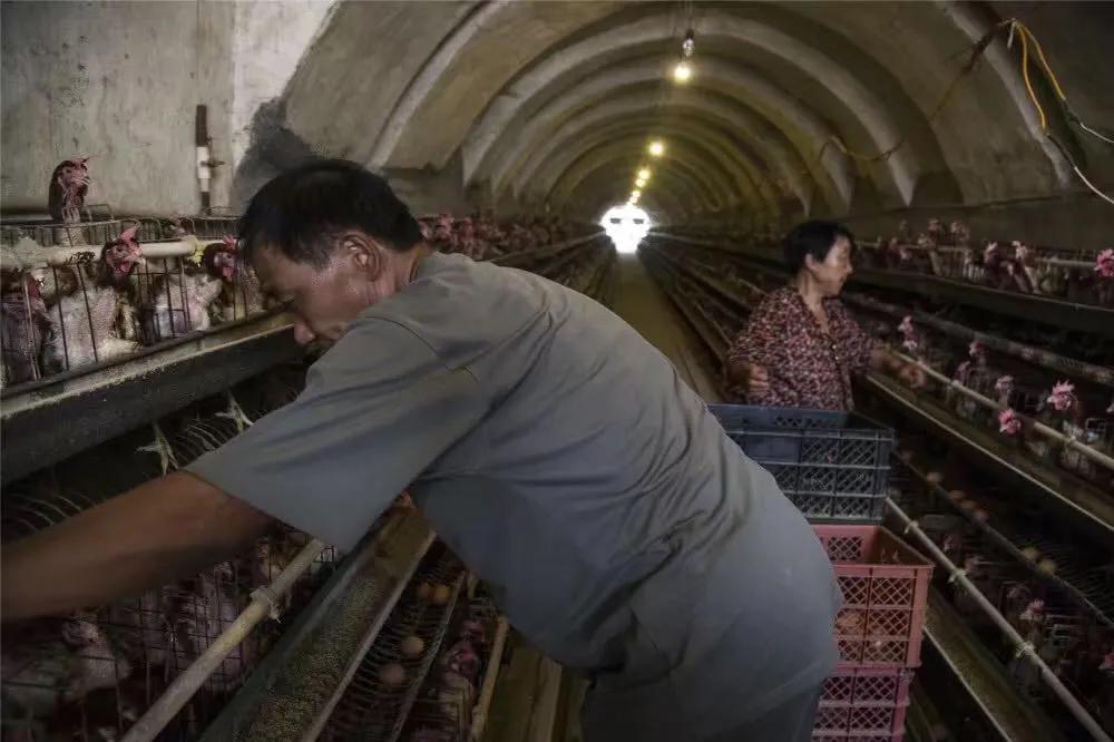 人在困境中该怎么办,如果陷入困境感到焦虑怎么办