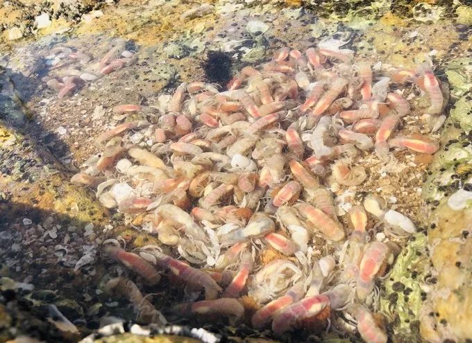 鲅鱼圈最新的旅游攻略,鲅鱼圈最强攻略