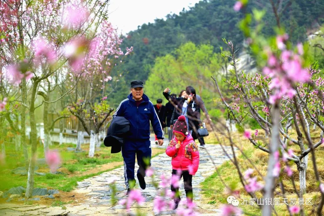 天蒙山踏青赏花,蒙山景区赏花