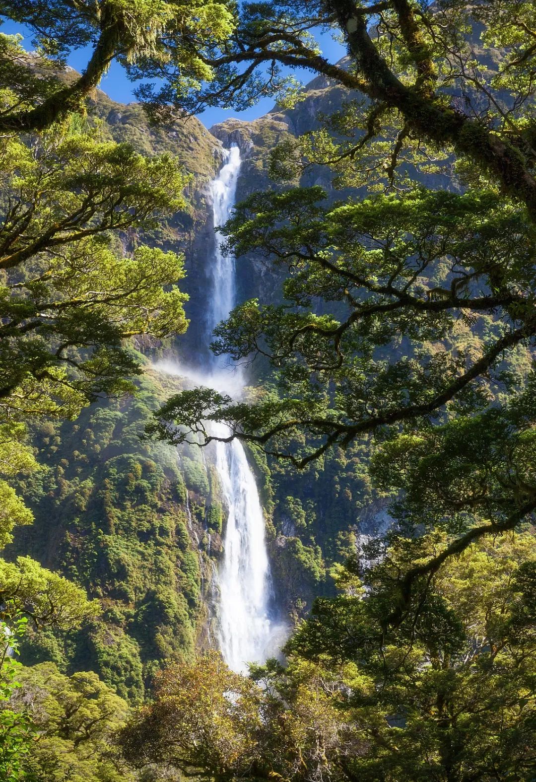 新西兰为什么那么发达,新西兰为什么这么牛